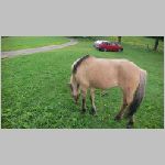 p1010231 [800x600].jpg